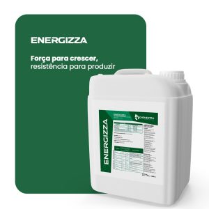 energizza