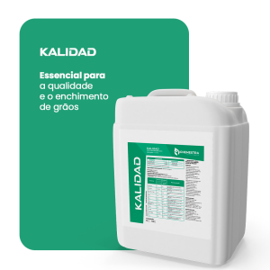 kalidad