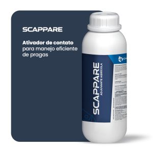 scappare