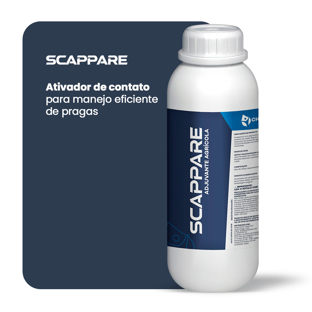 scappare scappare